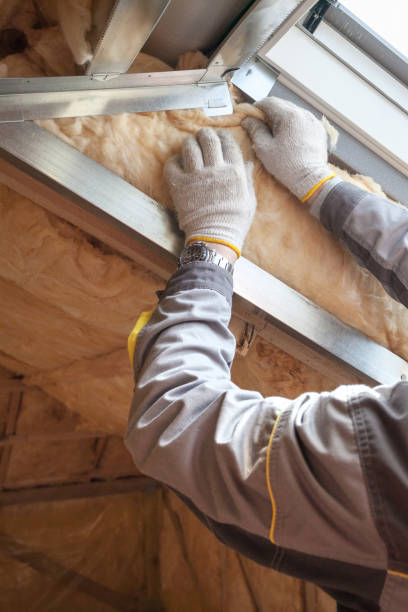 Best Insulation Removal  in Canyon Creek, WA